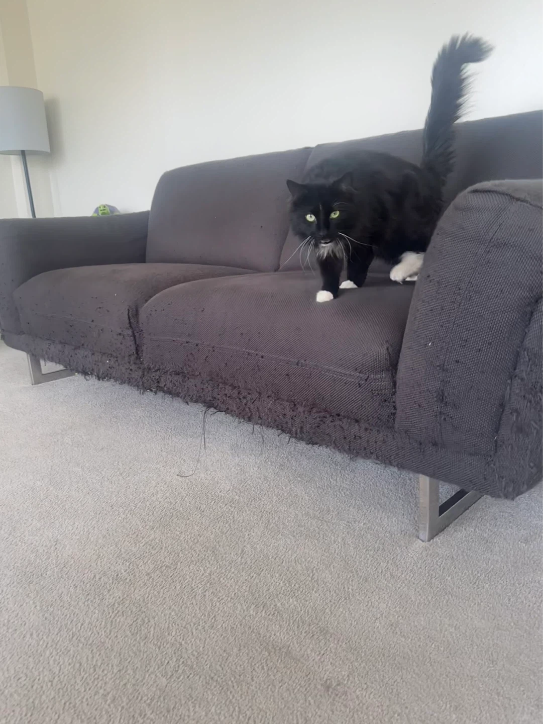 Dark Grey 2-Seater Sofa - photo 2