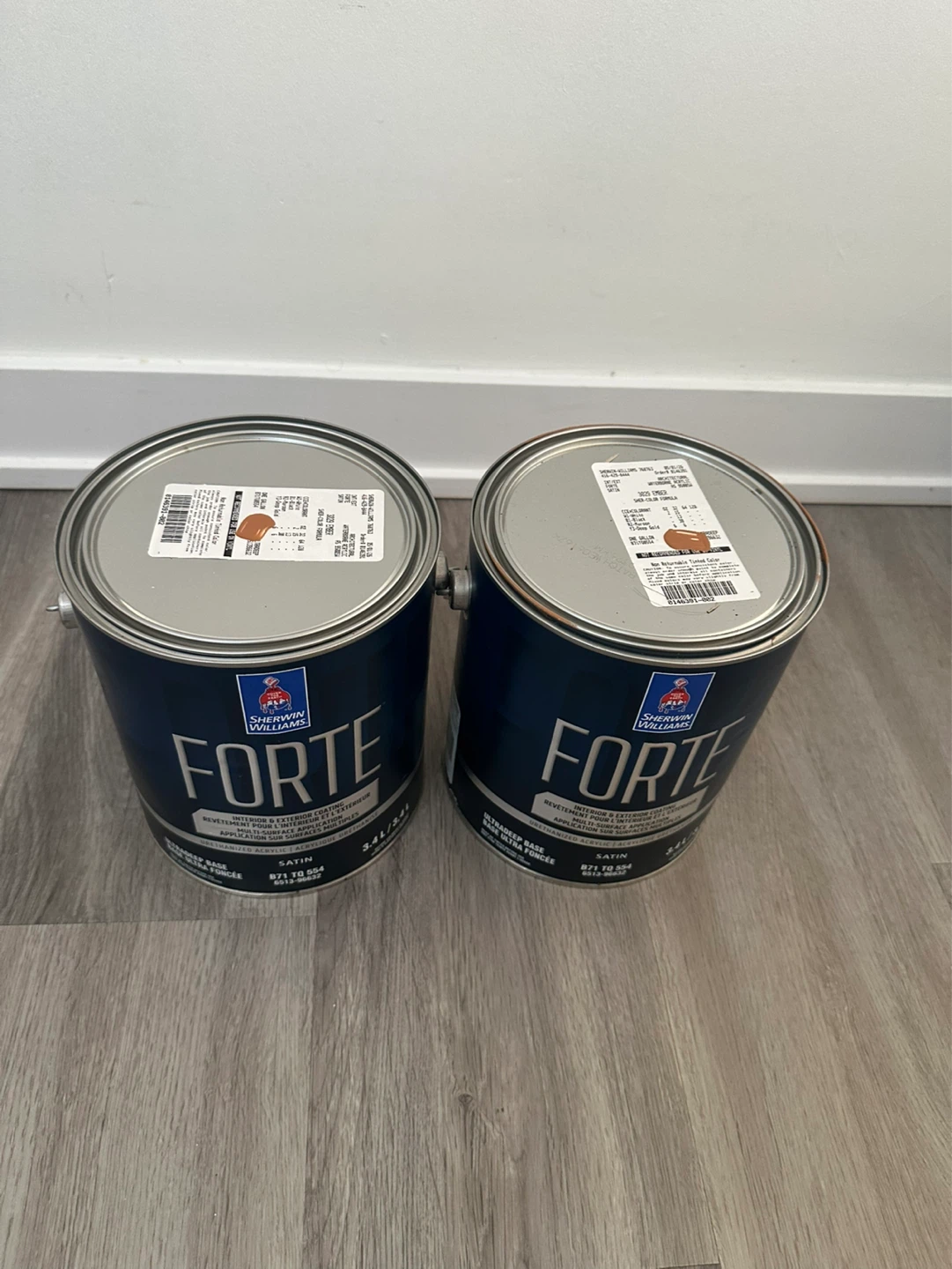 Sherwin-Williams Forte Interior/Exterior Paint - Satin - 3.4L - photo 2