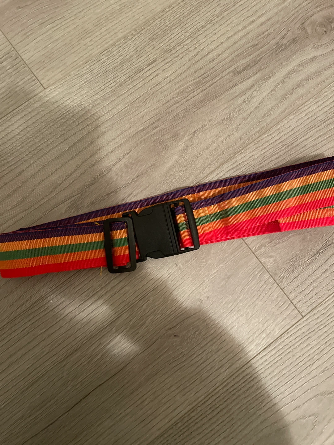 Rainbow Striped Luggage Strap
