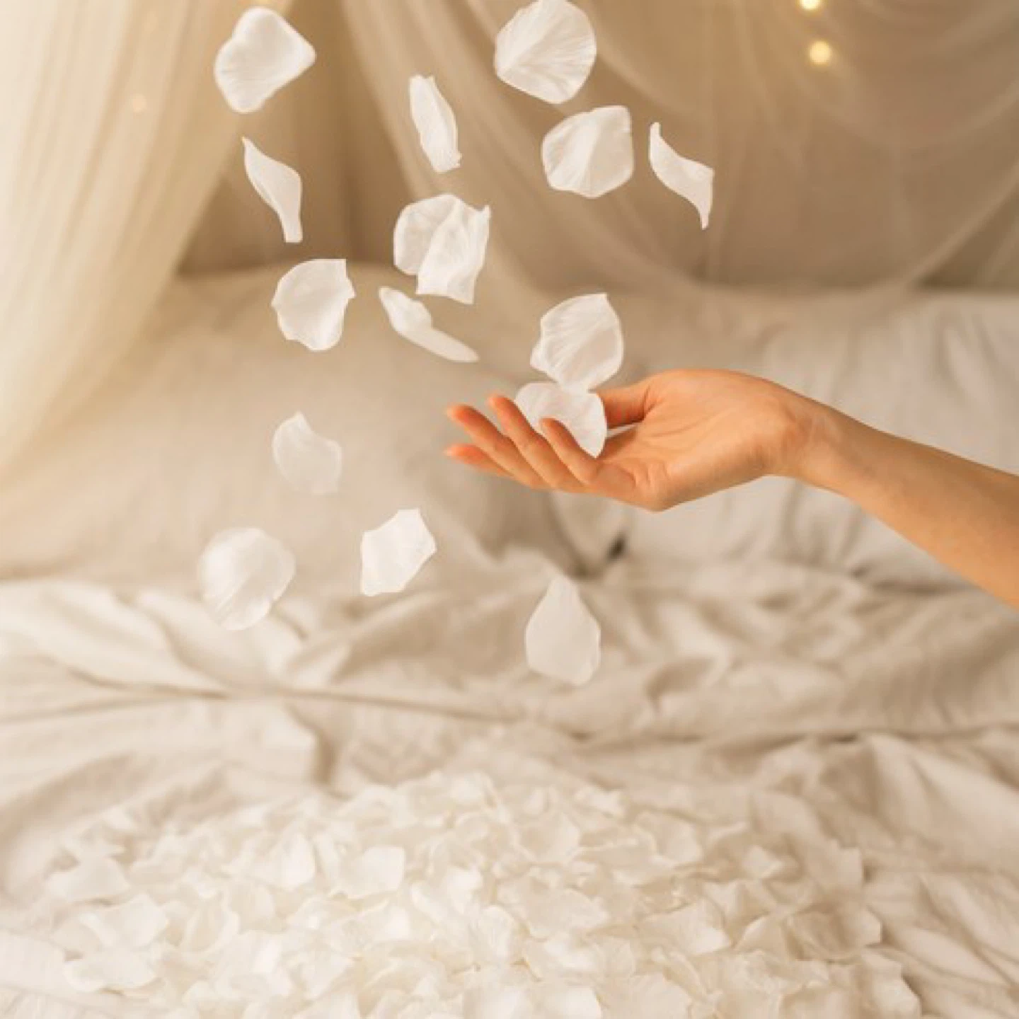 White Artificial Rose Petals - photo 3