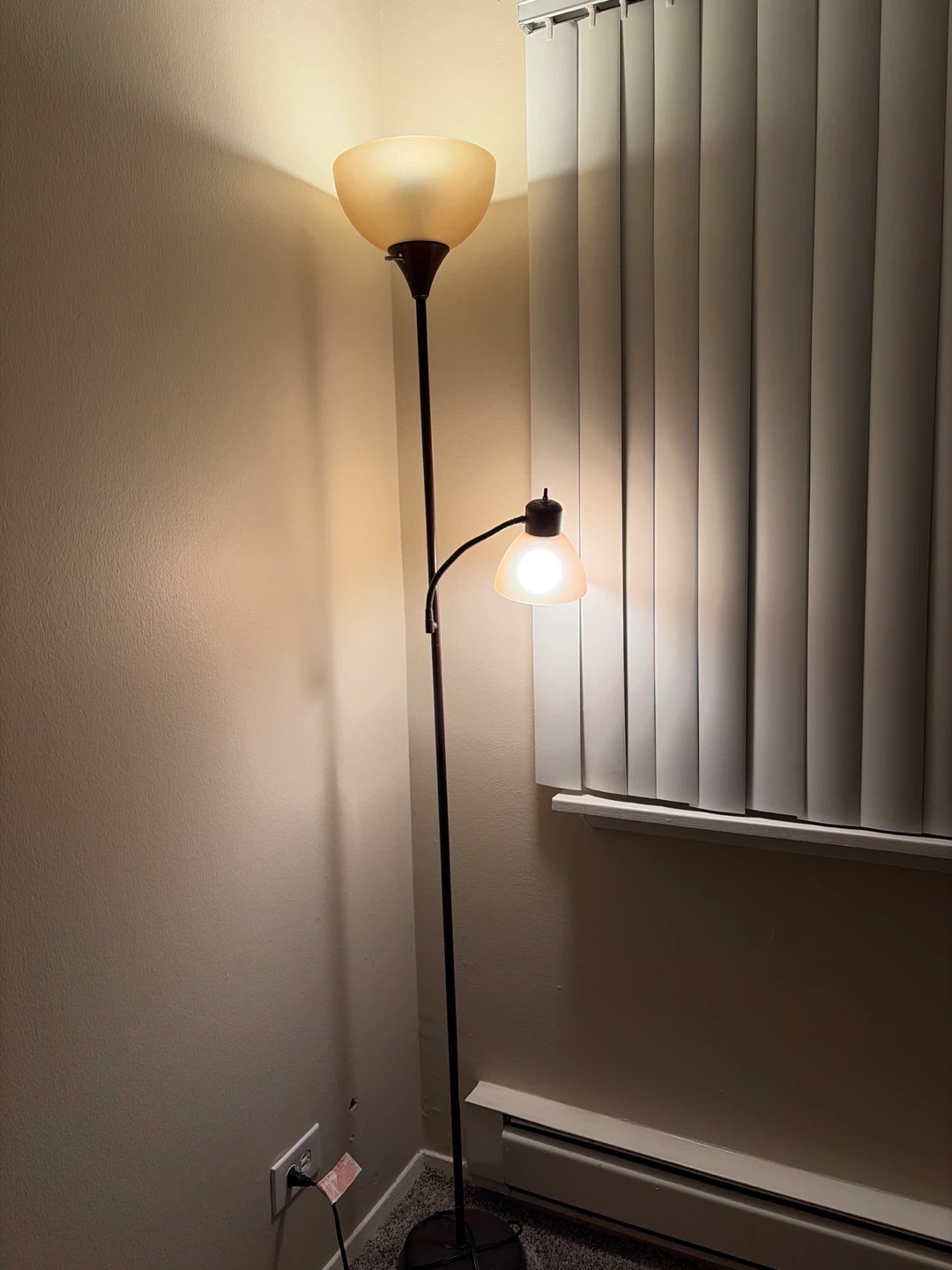 Dual Head Floor Lamp with Frosted Shades