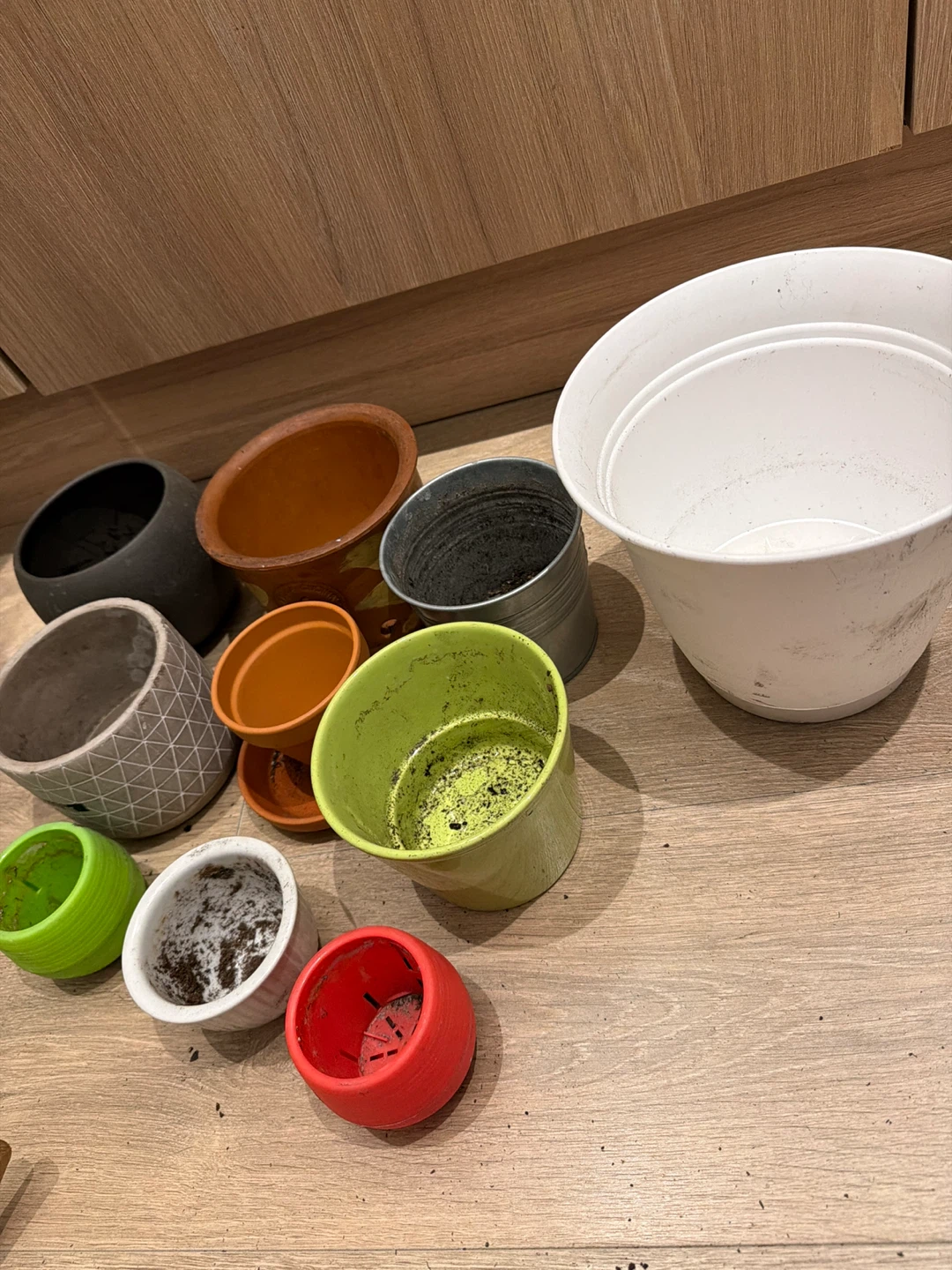 Assorted Plant Pots - $8 for everything