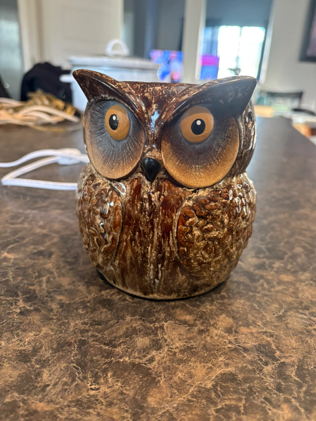 Owl Ceramic Wax Melt Warmer - photo 4