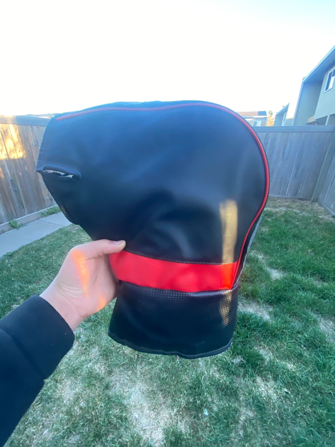 Black and Red Lined Mittens