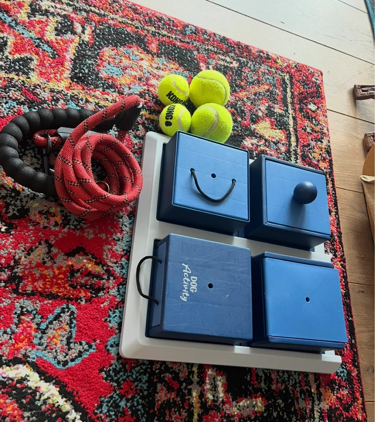 KONG Dog Activity Puzzle, leash, and balls
