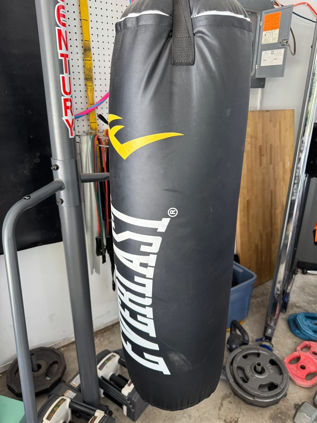 Century Everlast Punching Bag Stand with Bag