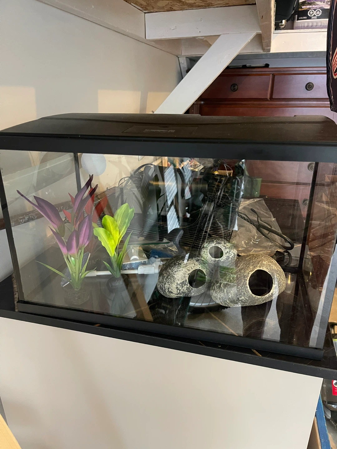 Aquarium with Filter and Heater