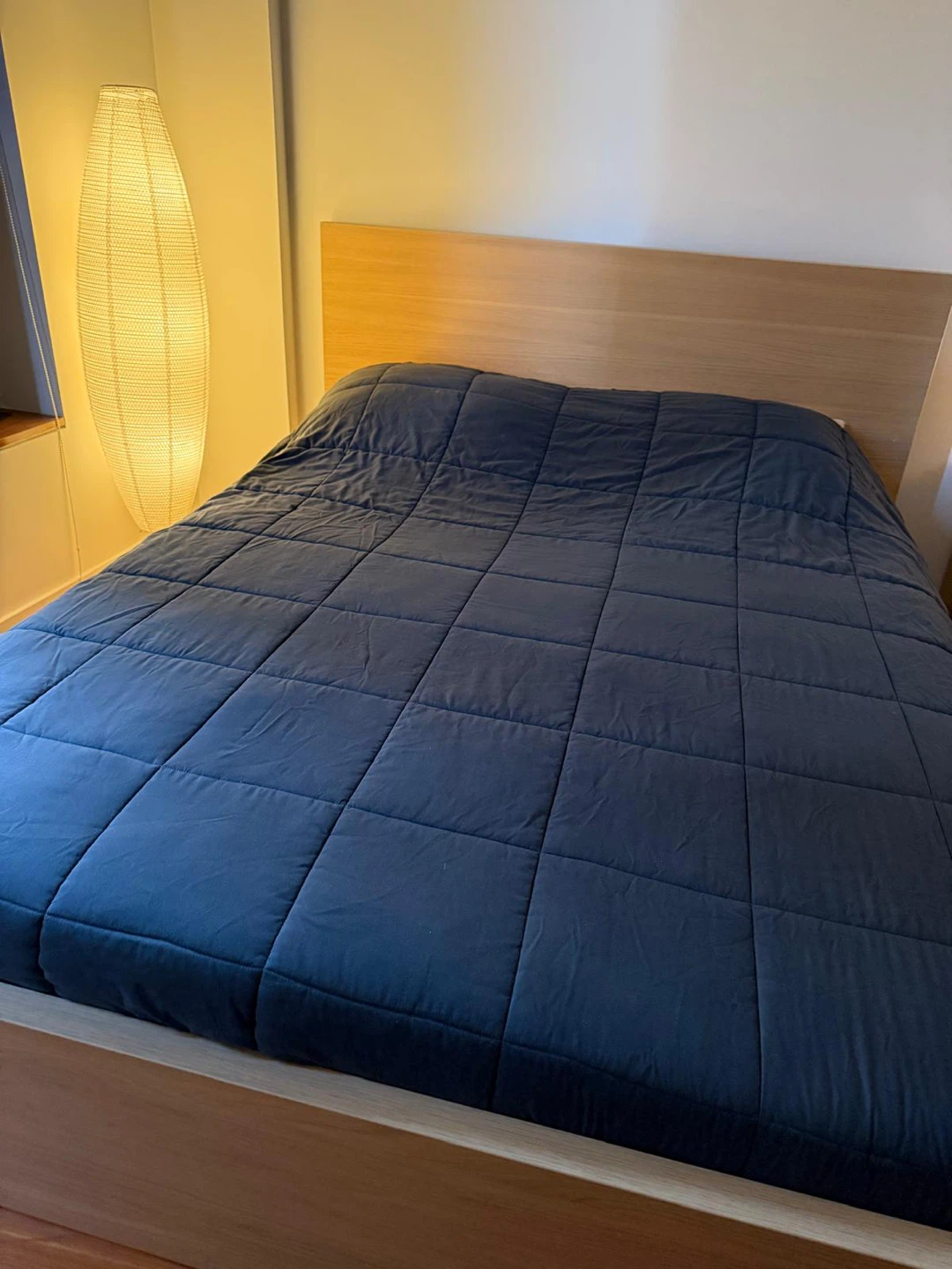 IKEA MALM Natural Queen Bed - photo 3