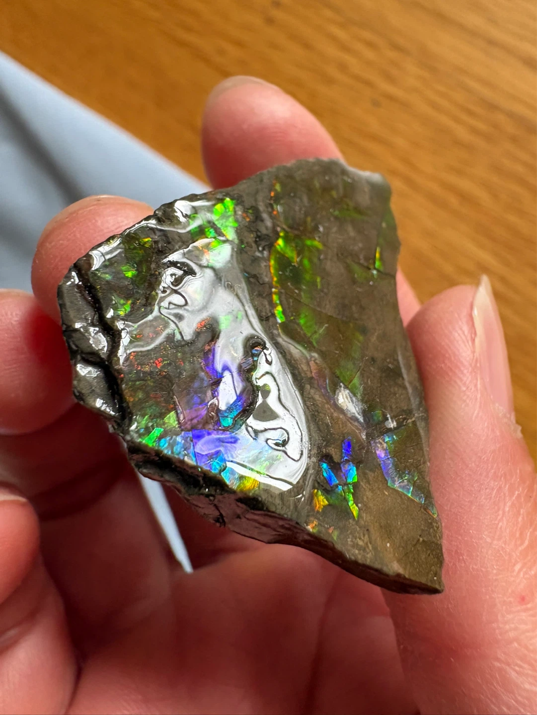 Ammolite Specimen with Vibrant Iridescence - photo 4