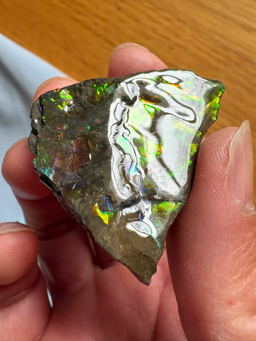 Ammolite Specimen with Vibrant Iridescence - photo 2