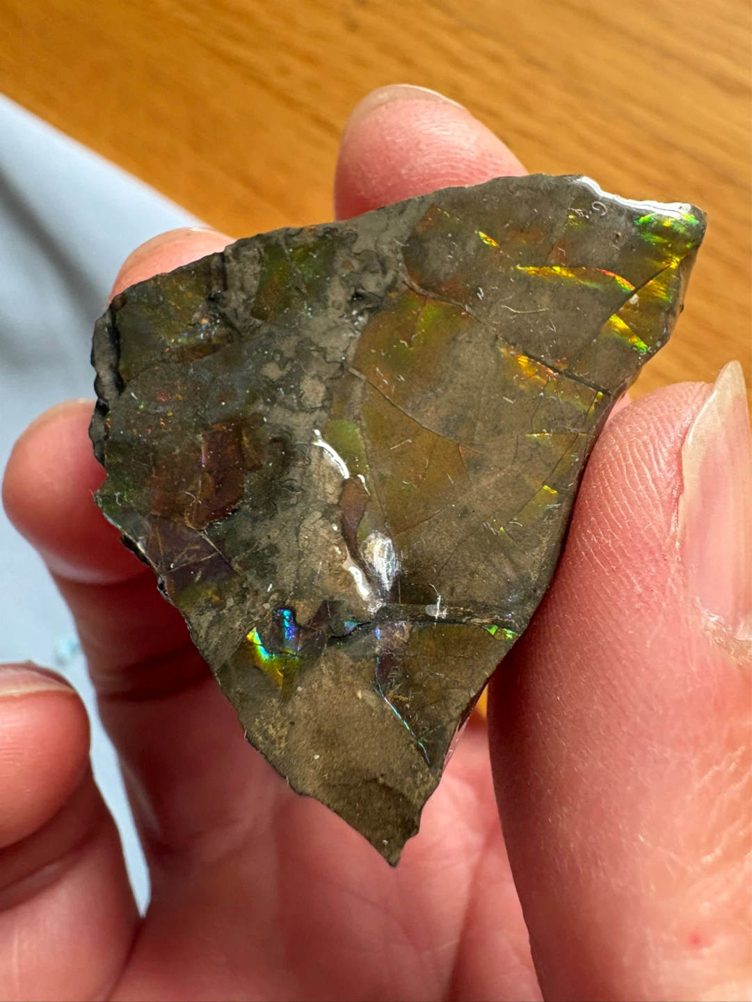 Ammolite Specimen with Vibrant Iridescence - photo 3
