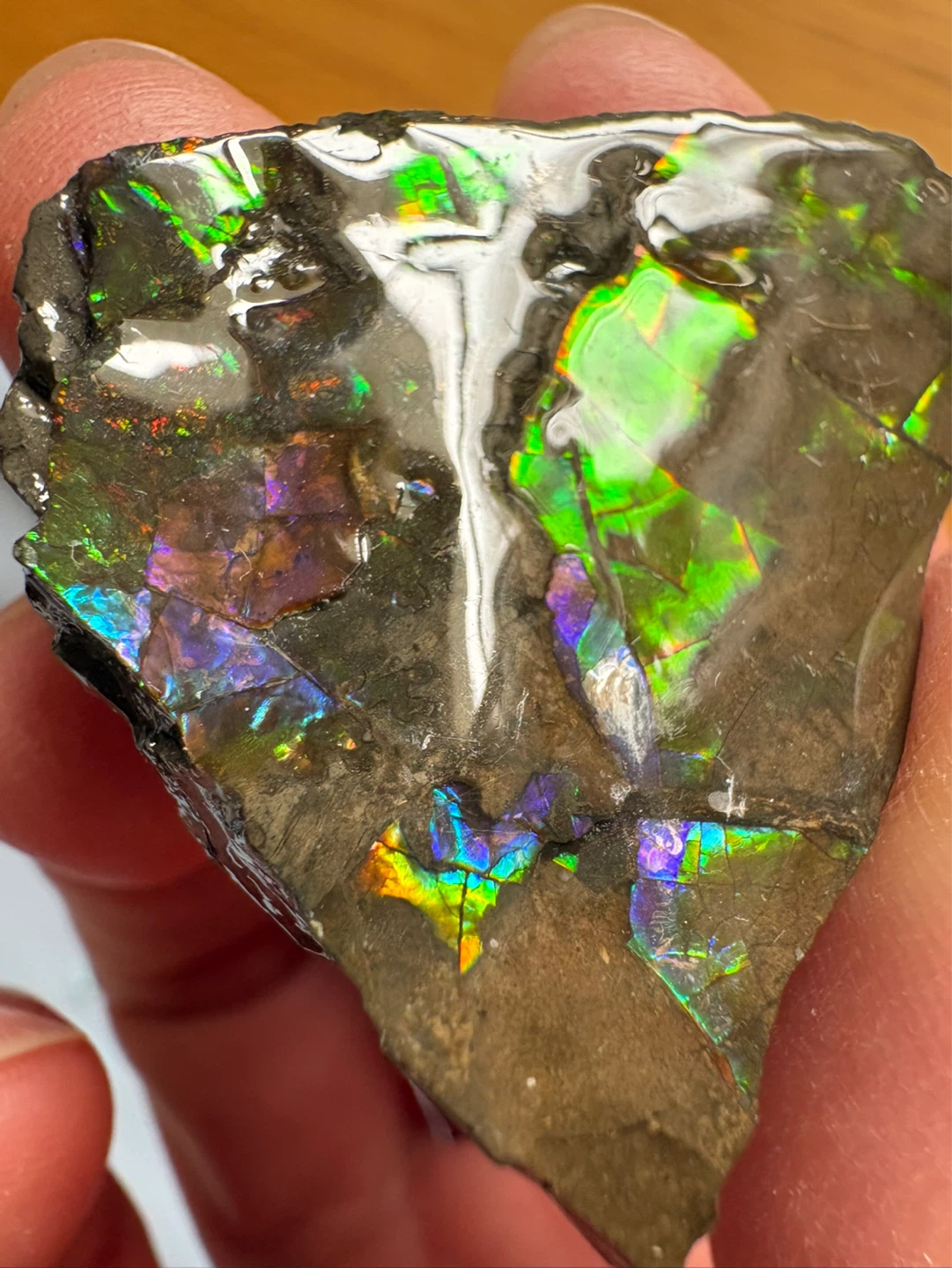 Ammolite Specimen with Vibrant Iridescence