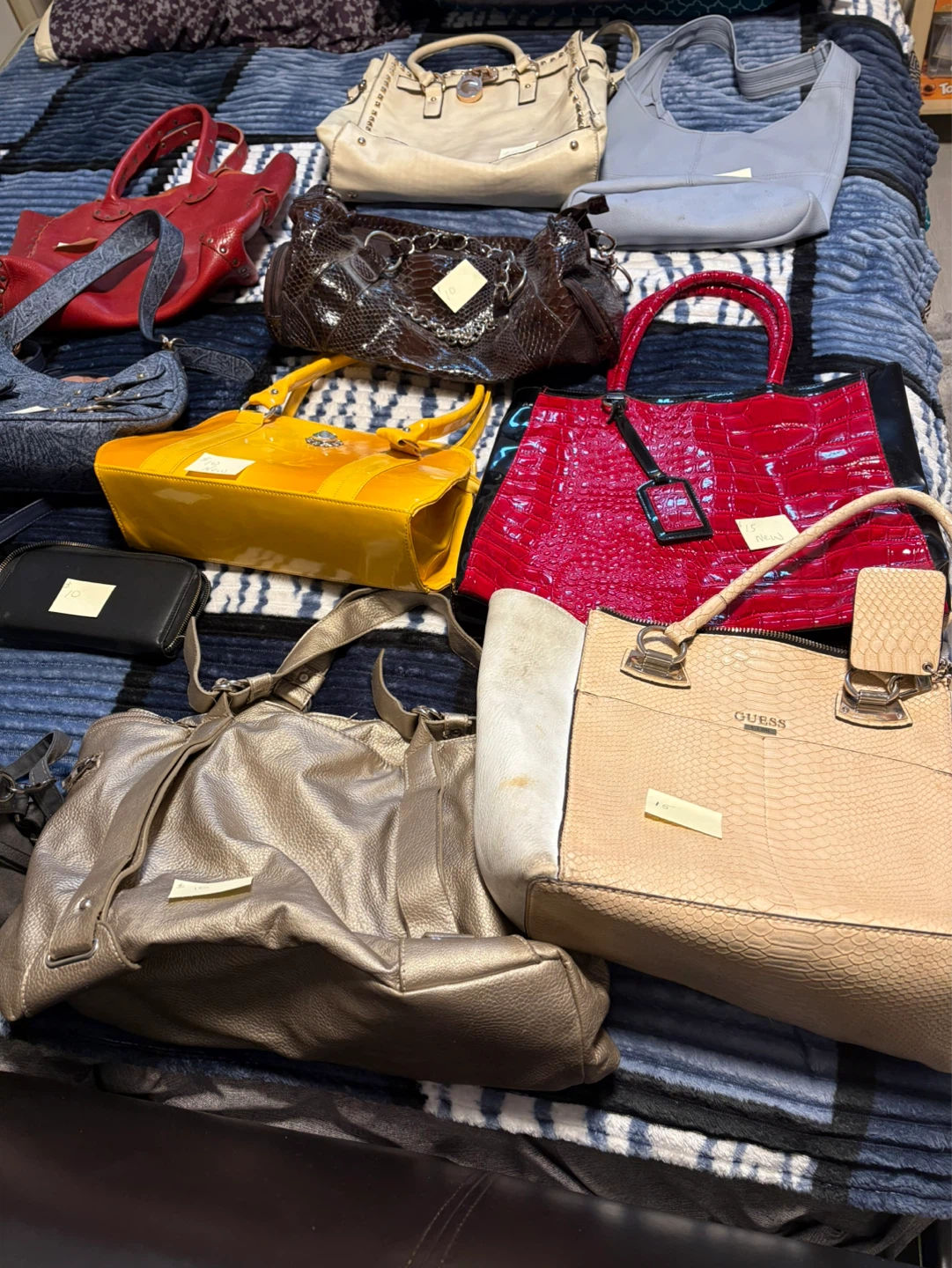 Various Designer Handbags Collection