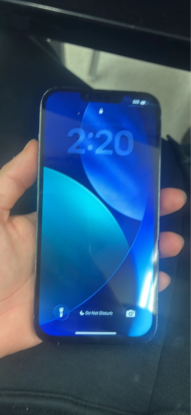 Apple iPhone 13 Pro Max 1TB - Sierra Blue - photo 5