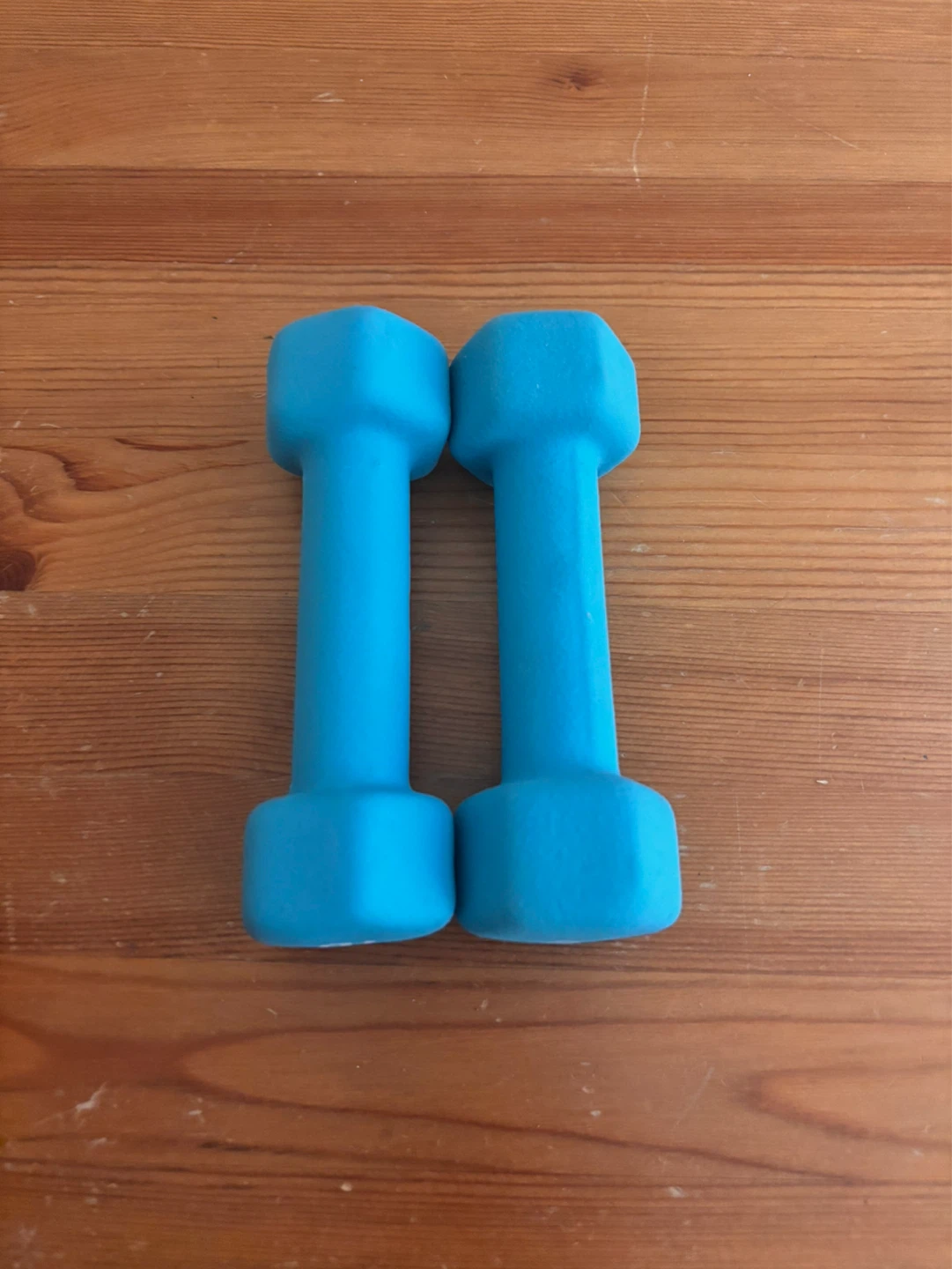 Dumbbell set (2lbs)