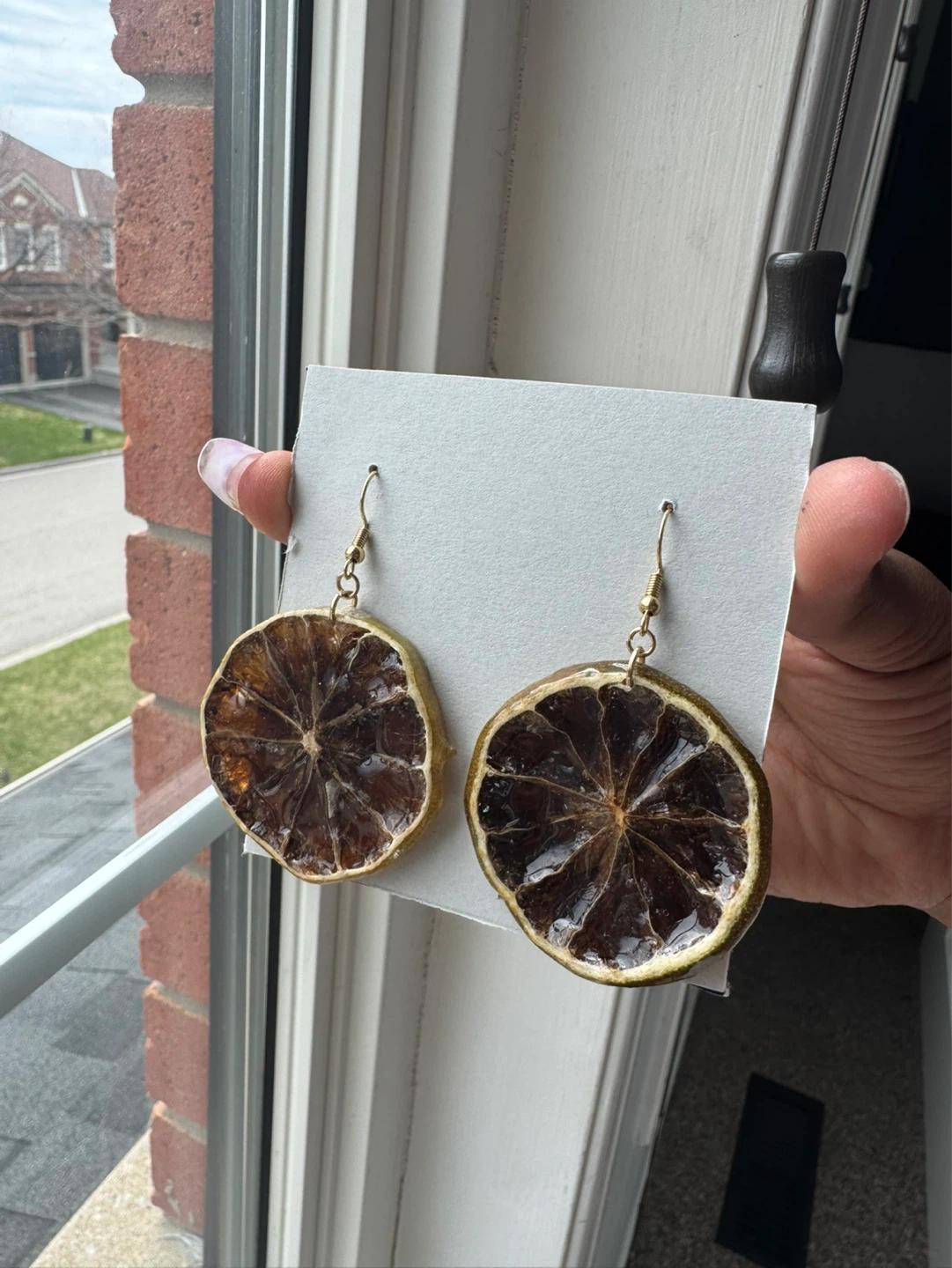 Dried Citrus Slice Earrings