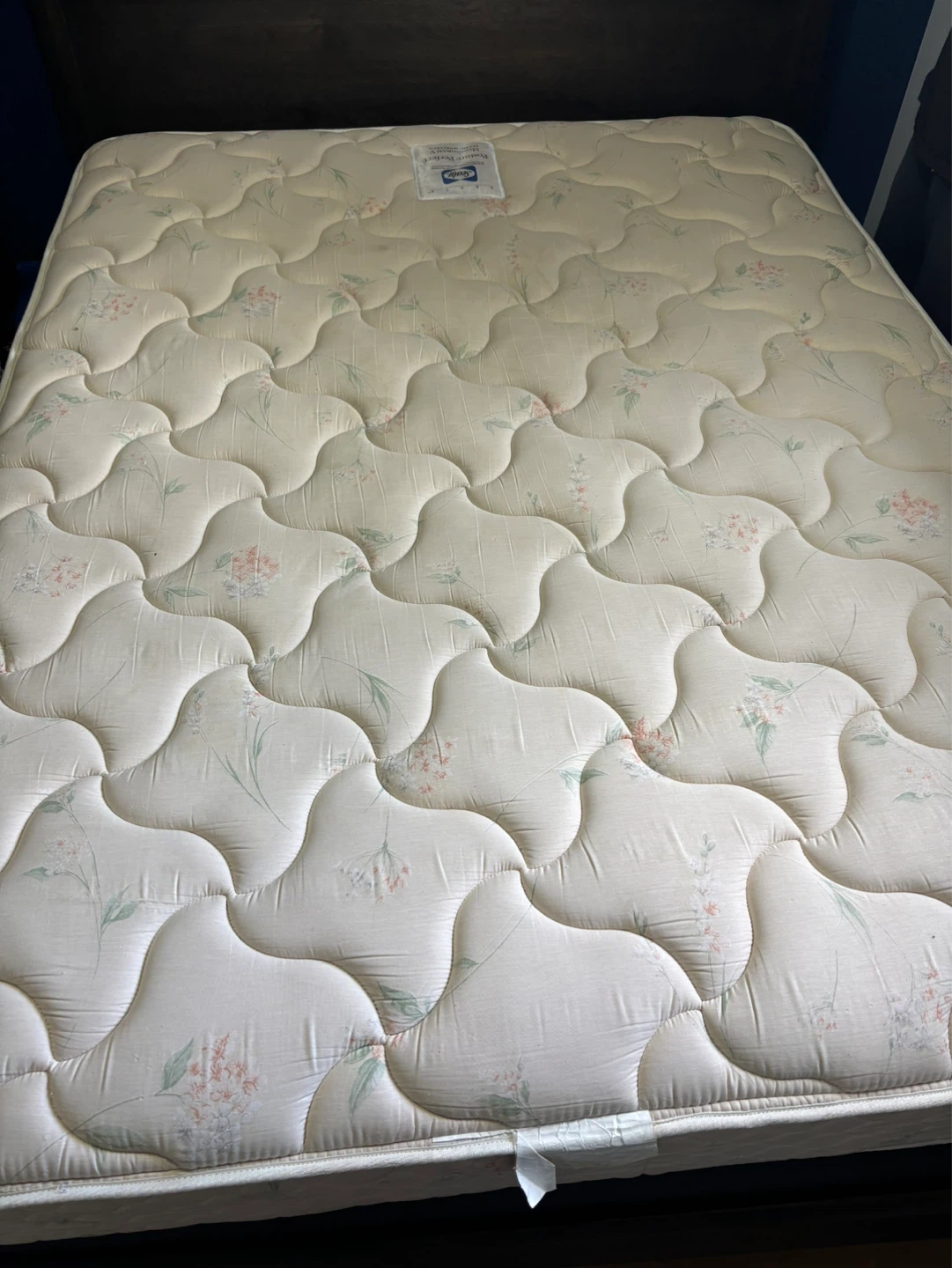 Sealy Mattress and box spring