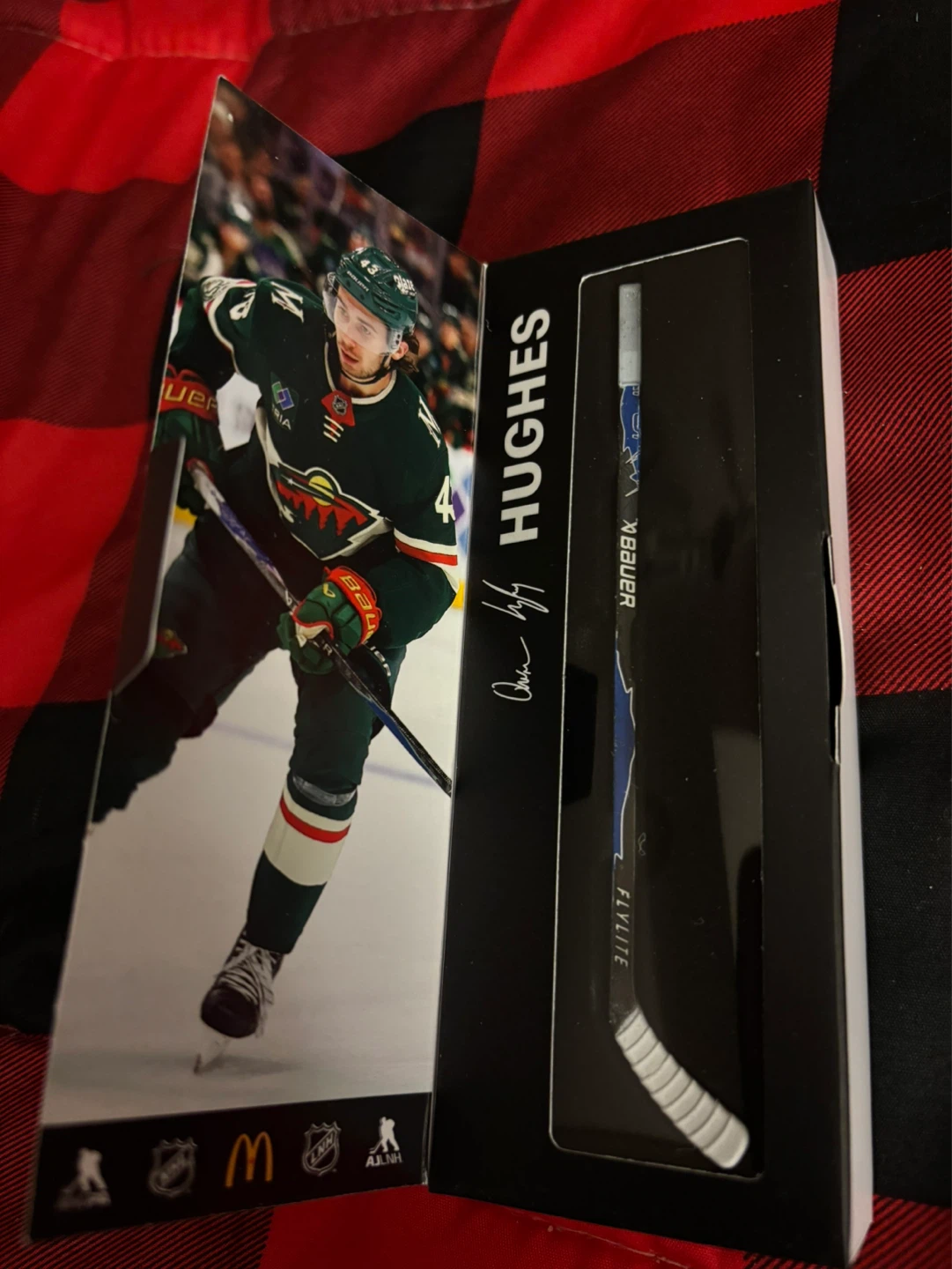 Vancouver Canuck Mini Stick - Hughes