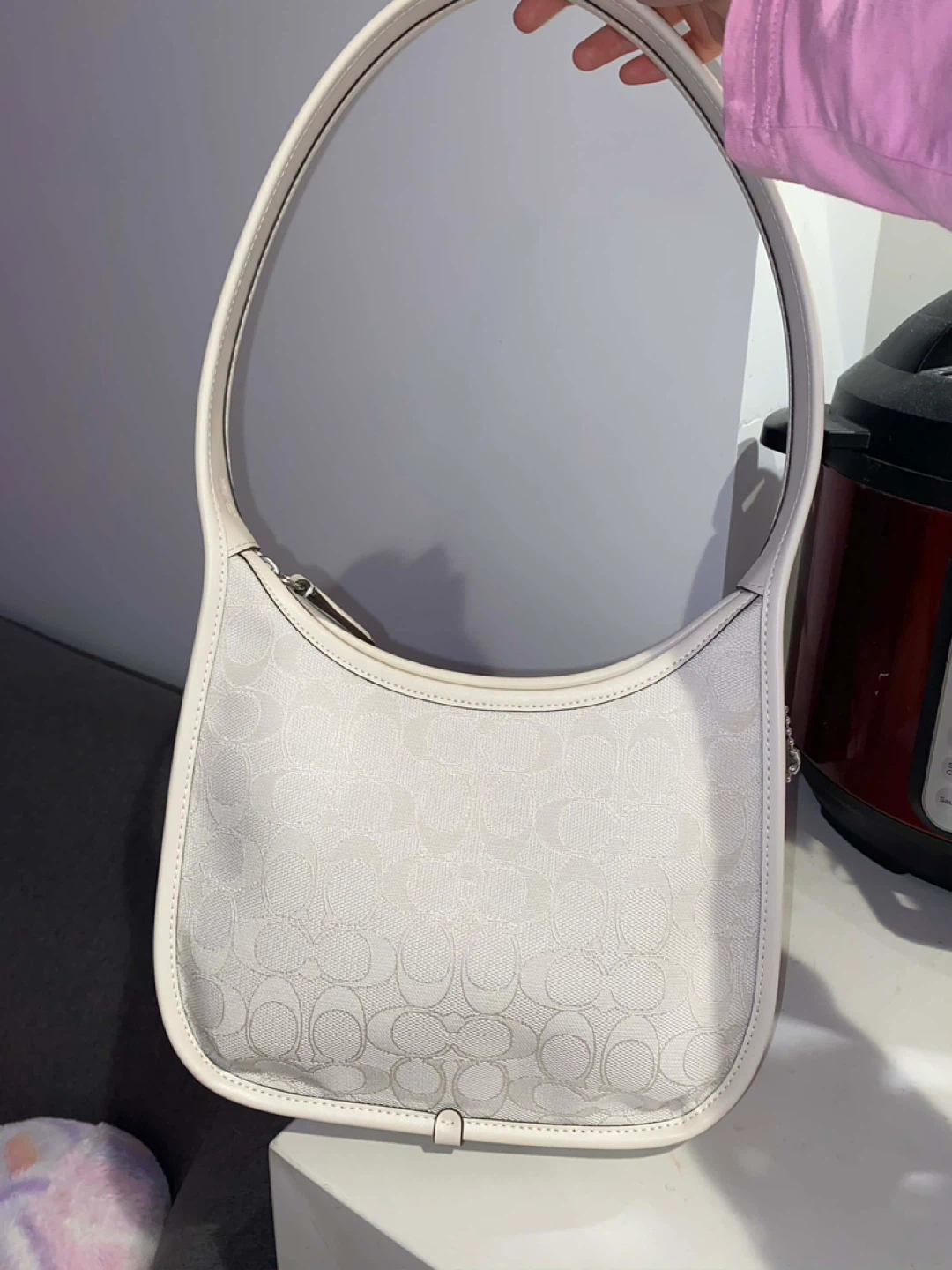 Coach Signature Hobo Shoulder Bag