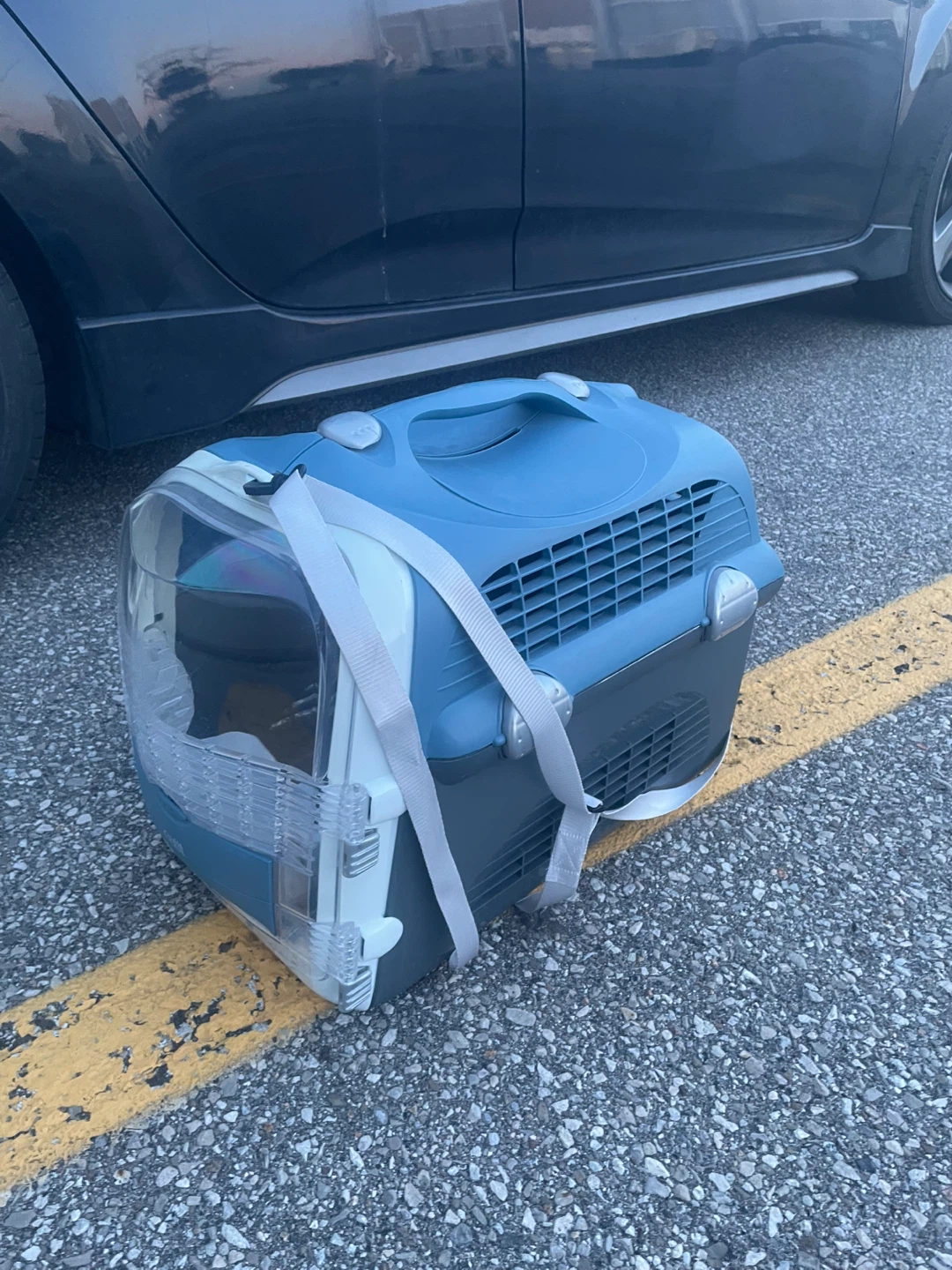 Catit Pet Carrier - photo 3