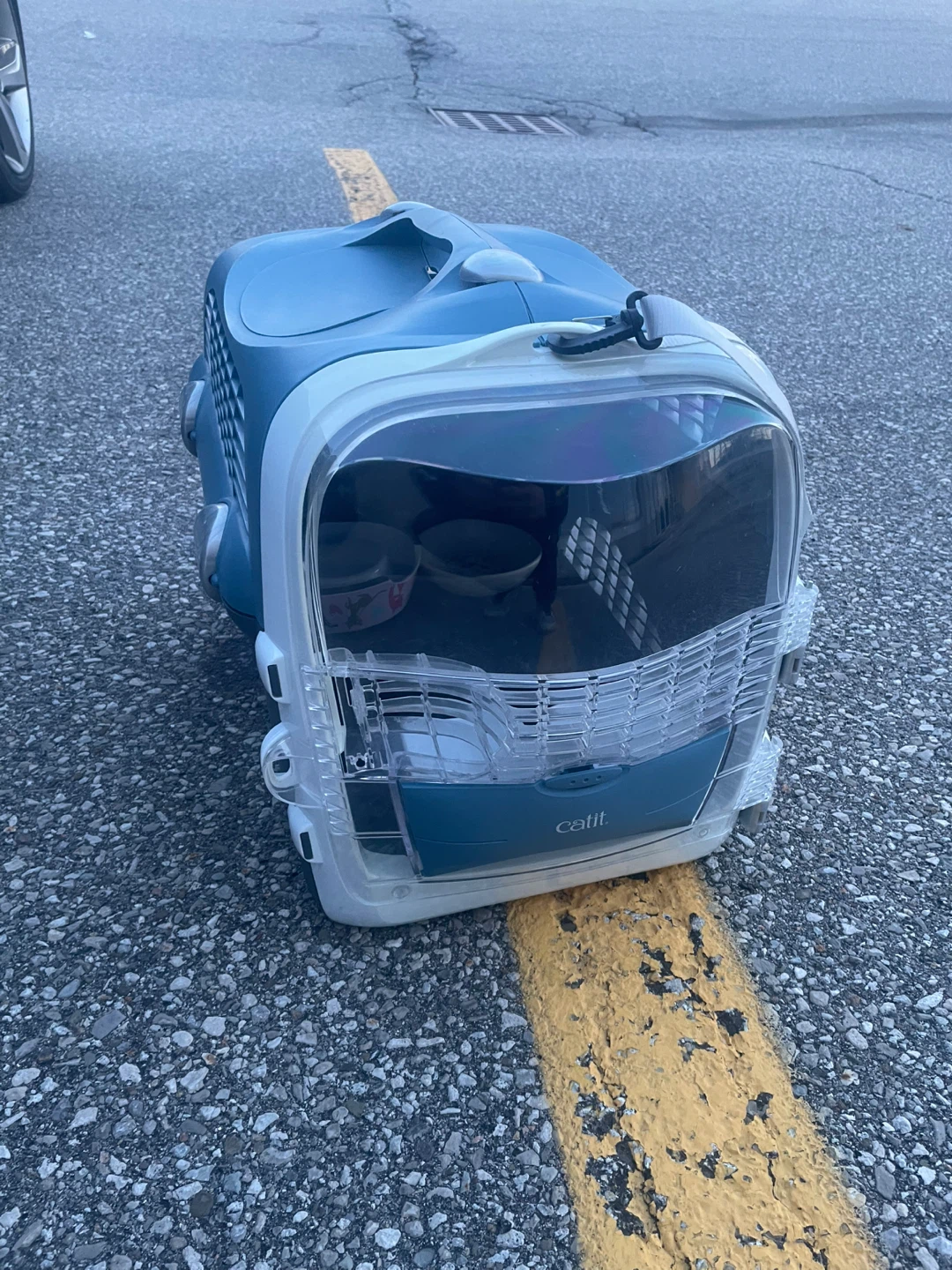 Catit Pet Carrier