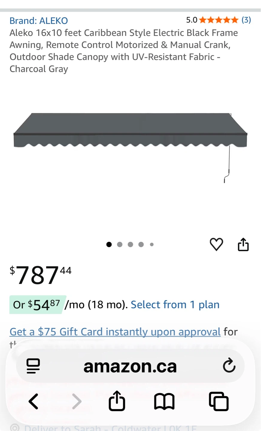 ALEKO 16x10 ft Caribbean Style Electric Awning - Charcoal Gray