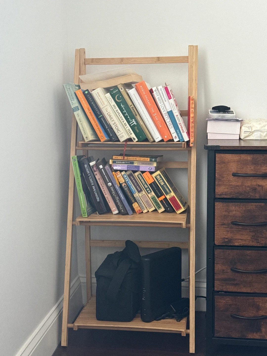 Wooden Ladder Shelf for Books and more
