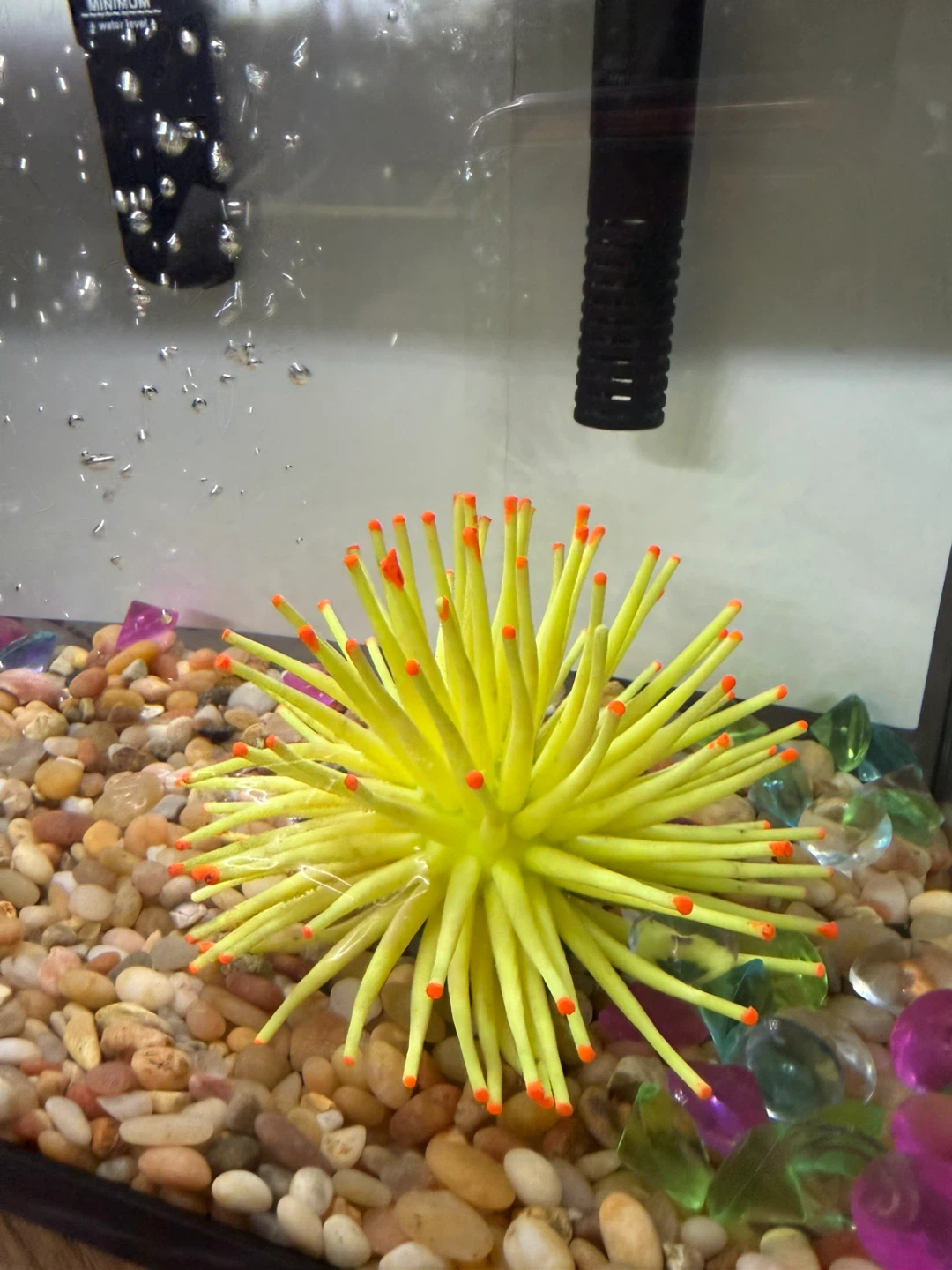 Top Fin Aquarium - photo 2