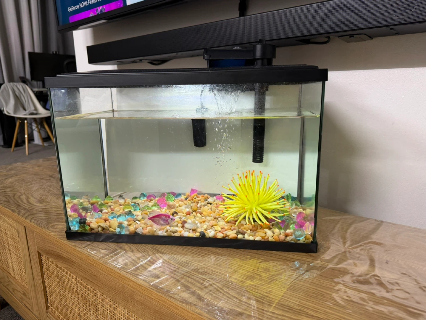 Top Fin Aquarium