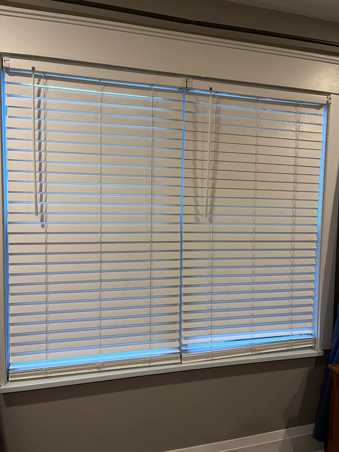 Levolor White Cordless Blinds (30.5”)