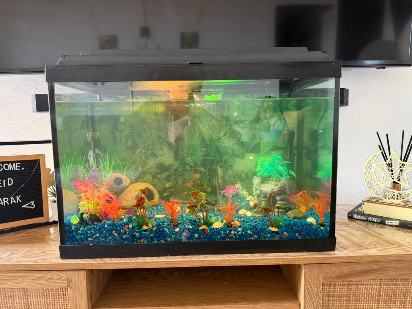 Aqueon Aquarium( including fish)