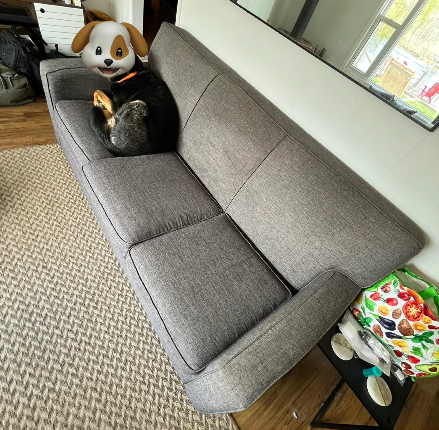 Grey Fabric Sofa