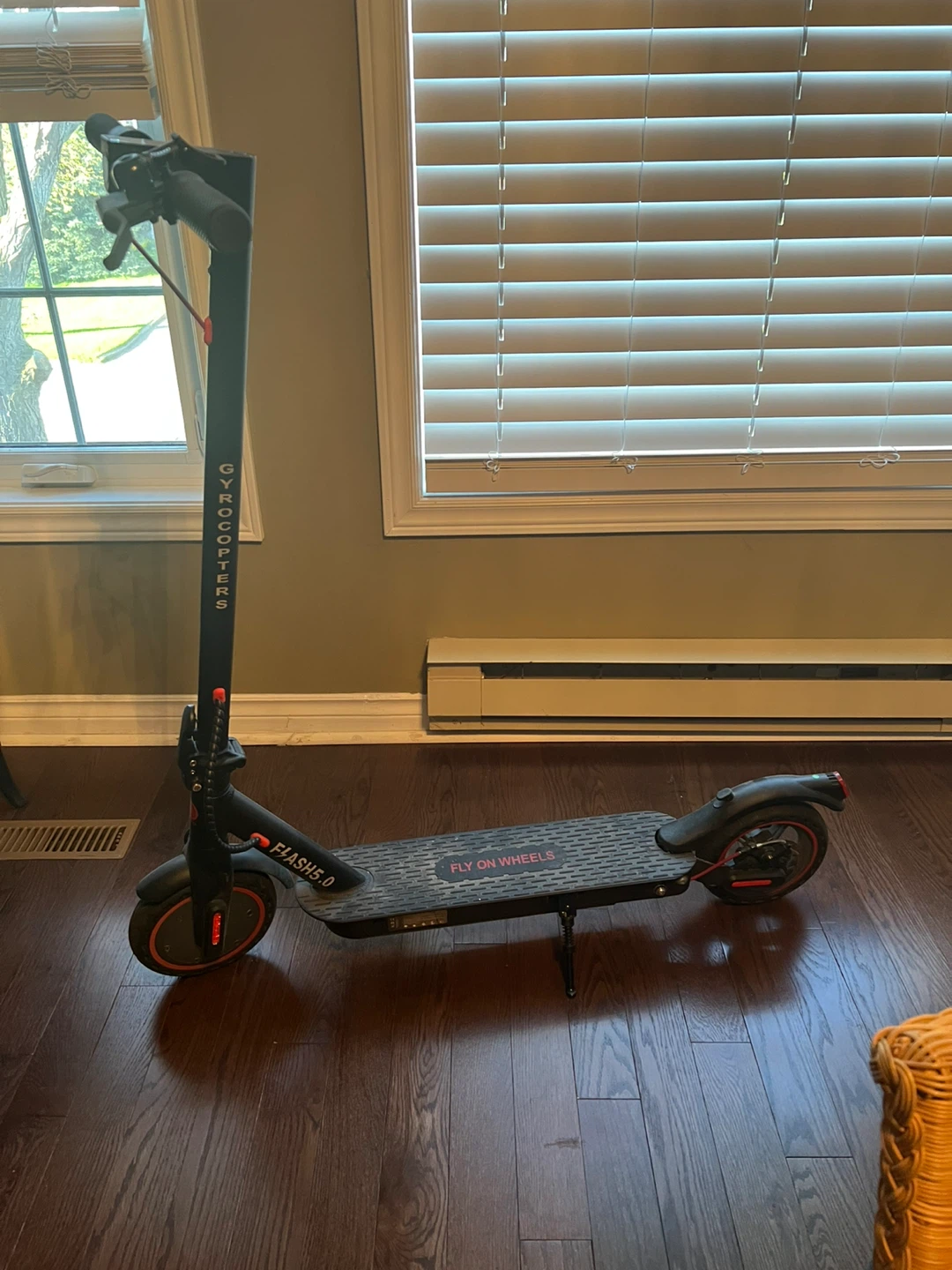 Gyro Copter Flash 5.0 Electric Scooter