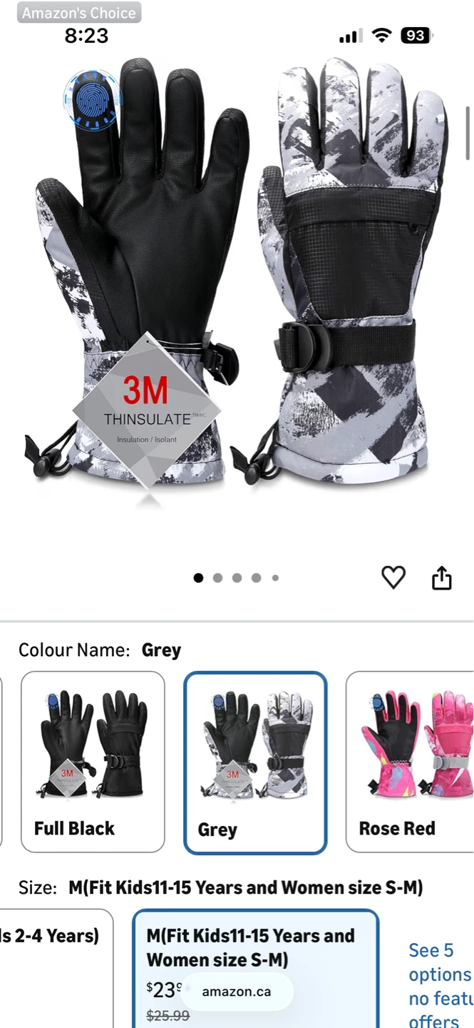 3M Thinsulate Ski Gloves - Grey