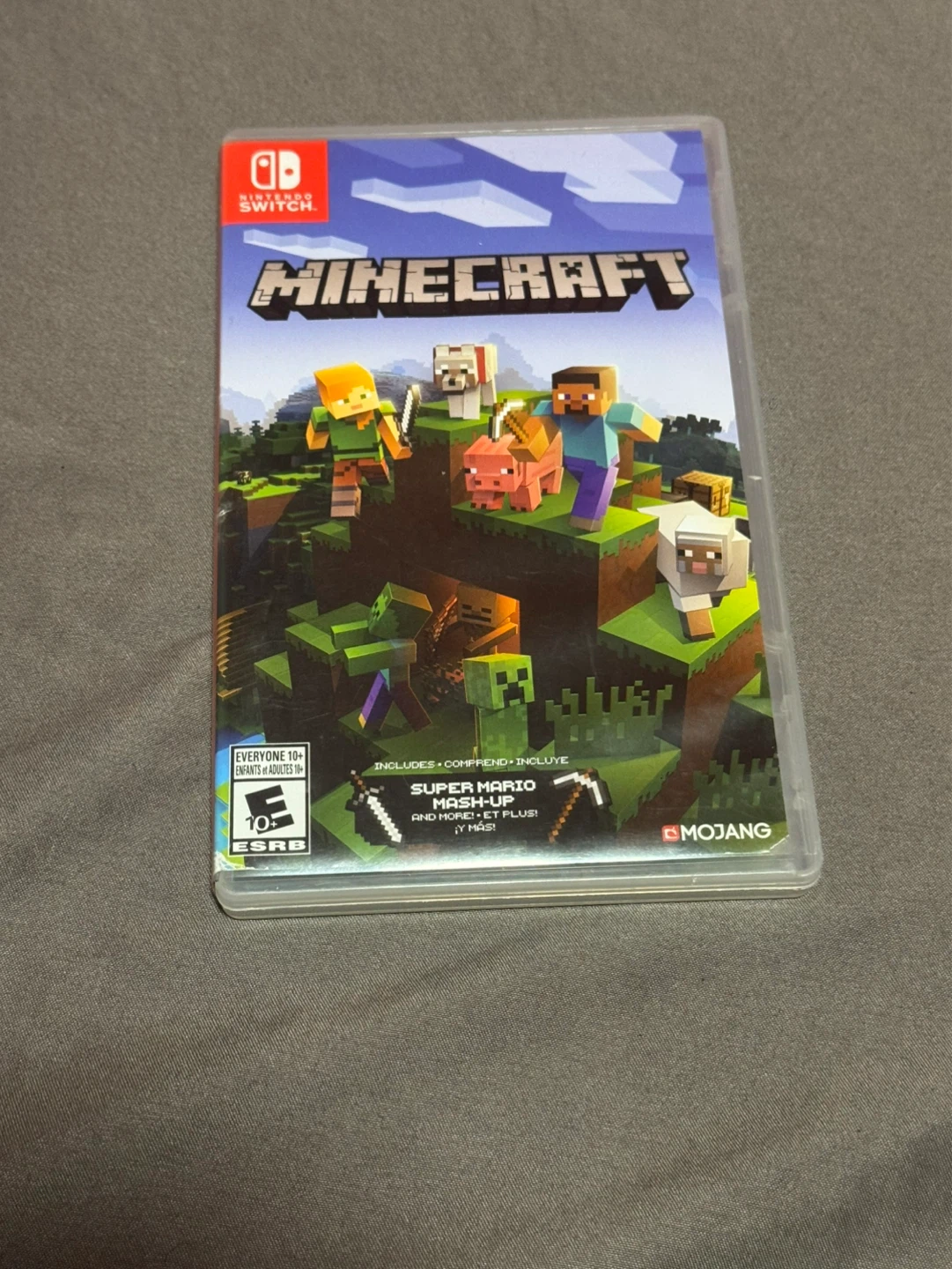 Nintendo Switch Minecraft Game