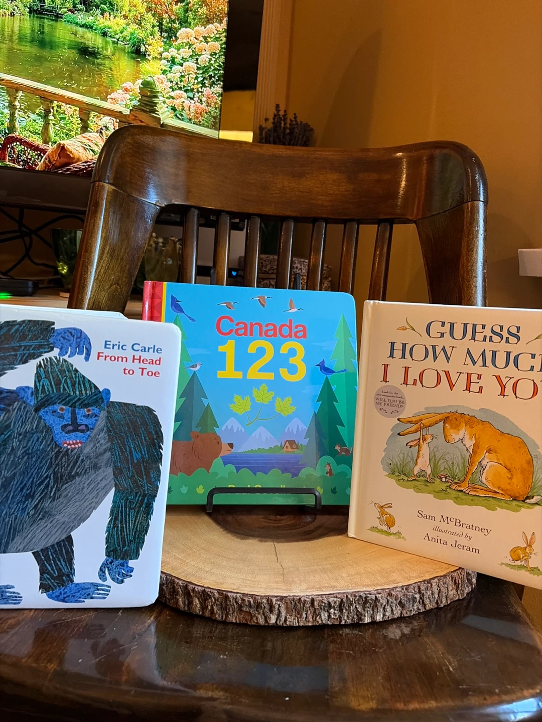 Three Children’s Board Book Bundle