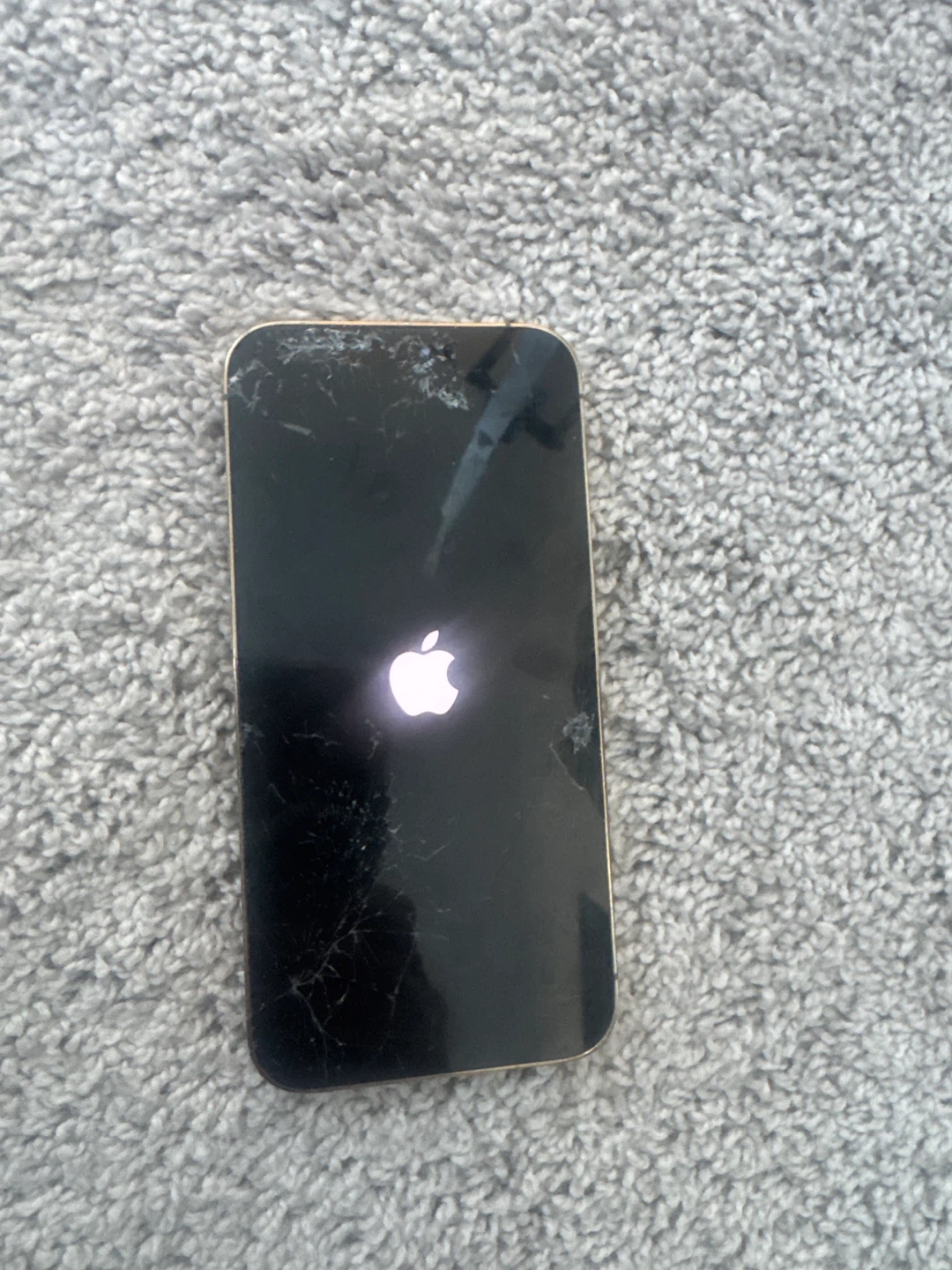 iPhone 13 Pro Max - Cracked Screen (front and back)