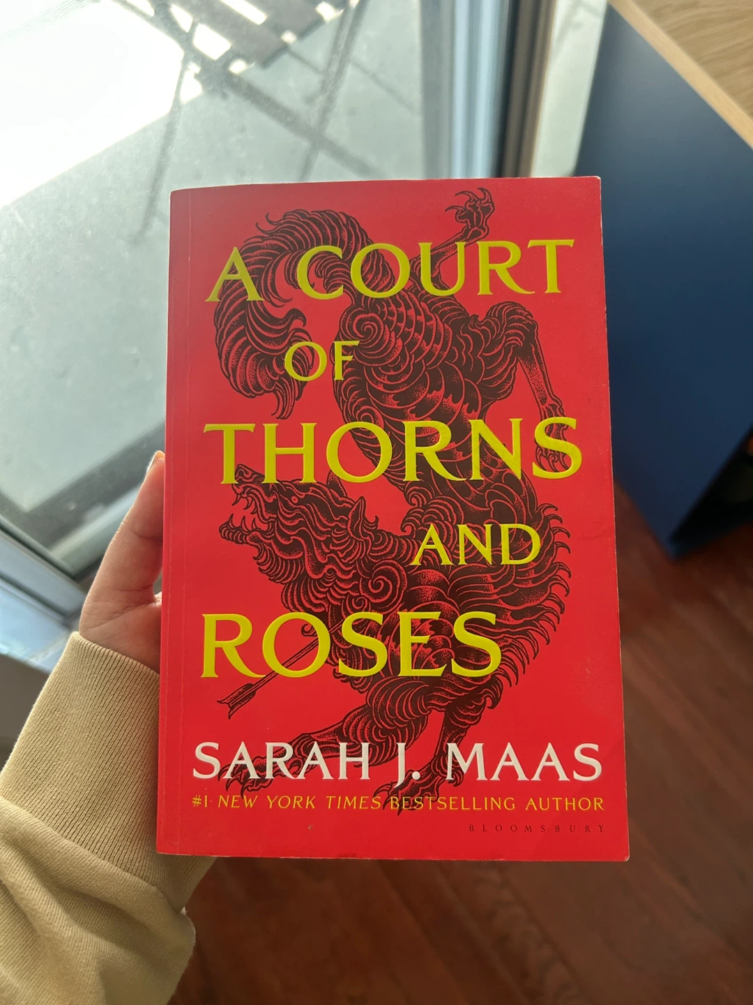 A Court of Thorn And Roses