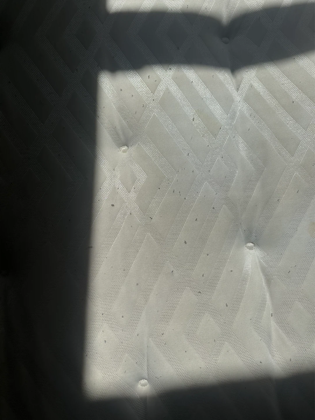 FREE Full Size Mattress - photo 3
