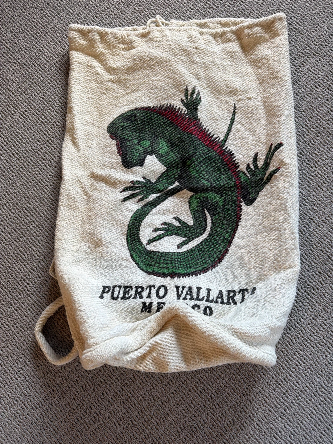 Canvas Drawstring Bag - Puerto Vallarta Iguana Design
