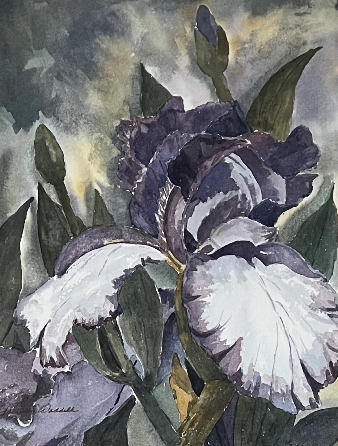 Vintage Purple Iris Watercolor by Gabrielle Waddell - photo 4