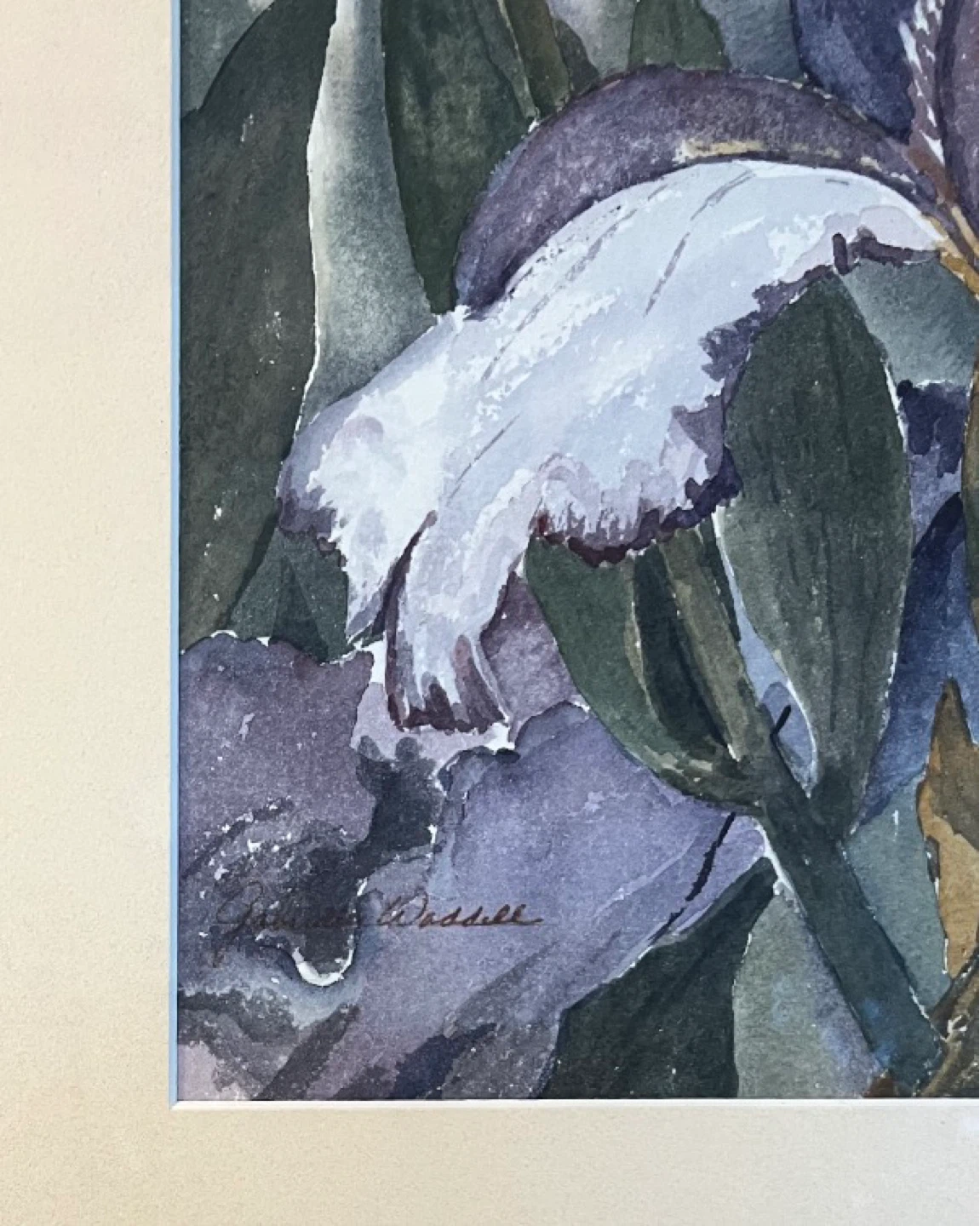 Vintage Purple Iris Watercolor by Gabrielle Waddell - photo 3