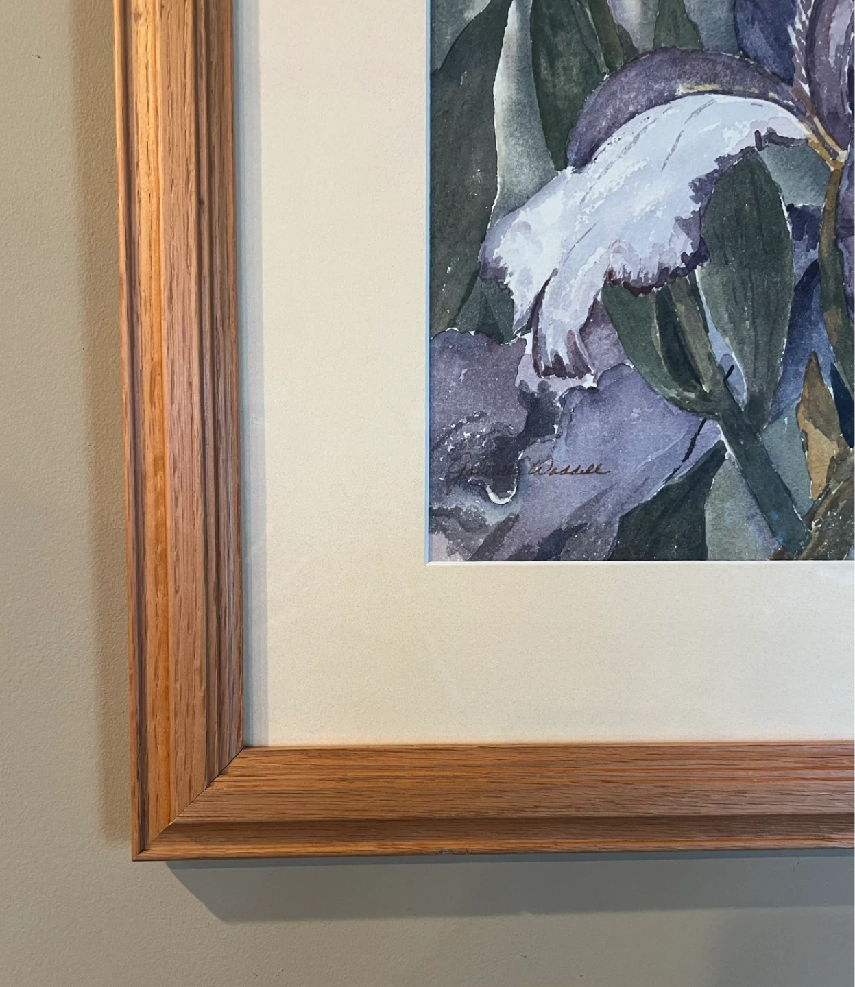 Vintage Purple Iris Watercolor by Gabrielle Waddell - photo 2