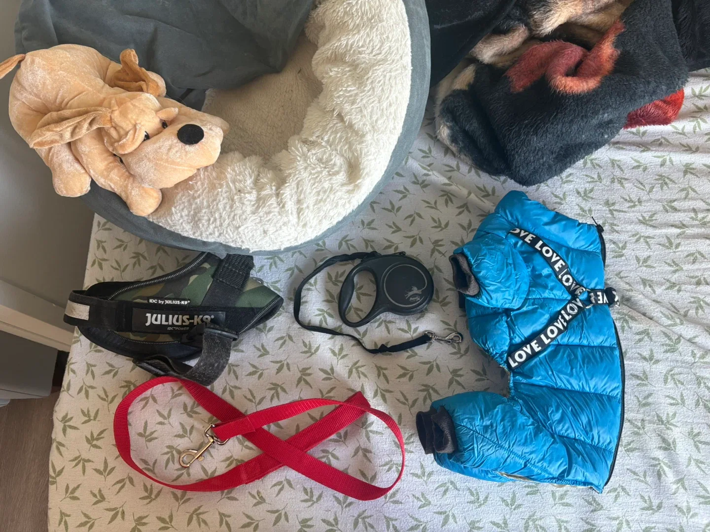 Dog items