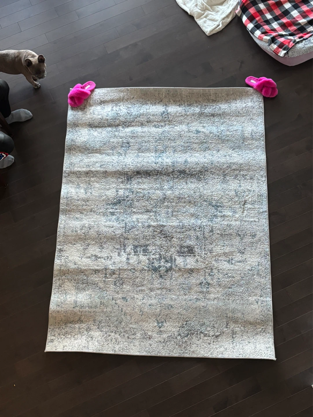 Surya Ankara Area Rug 5'x7'