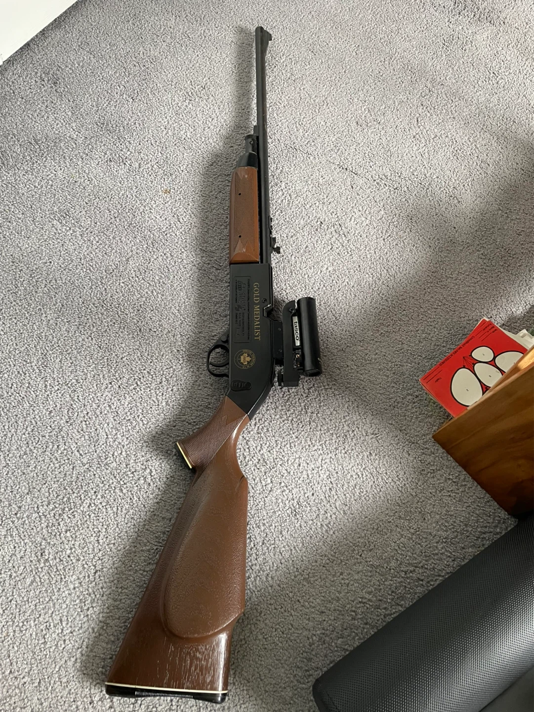 Pellet and BB Air Rifle