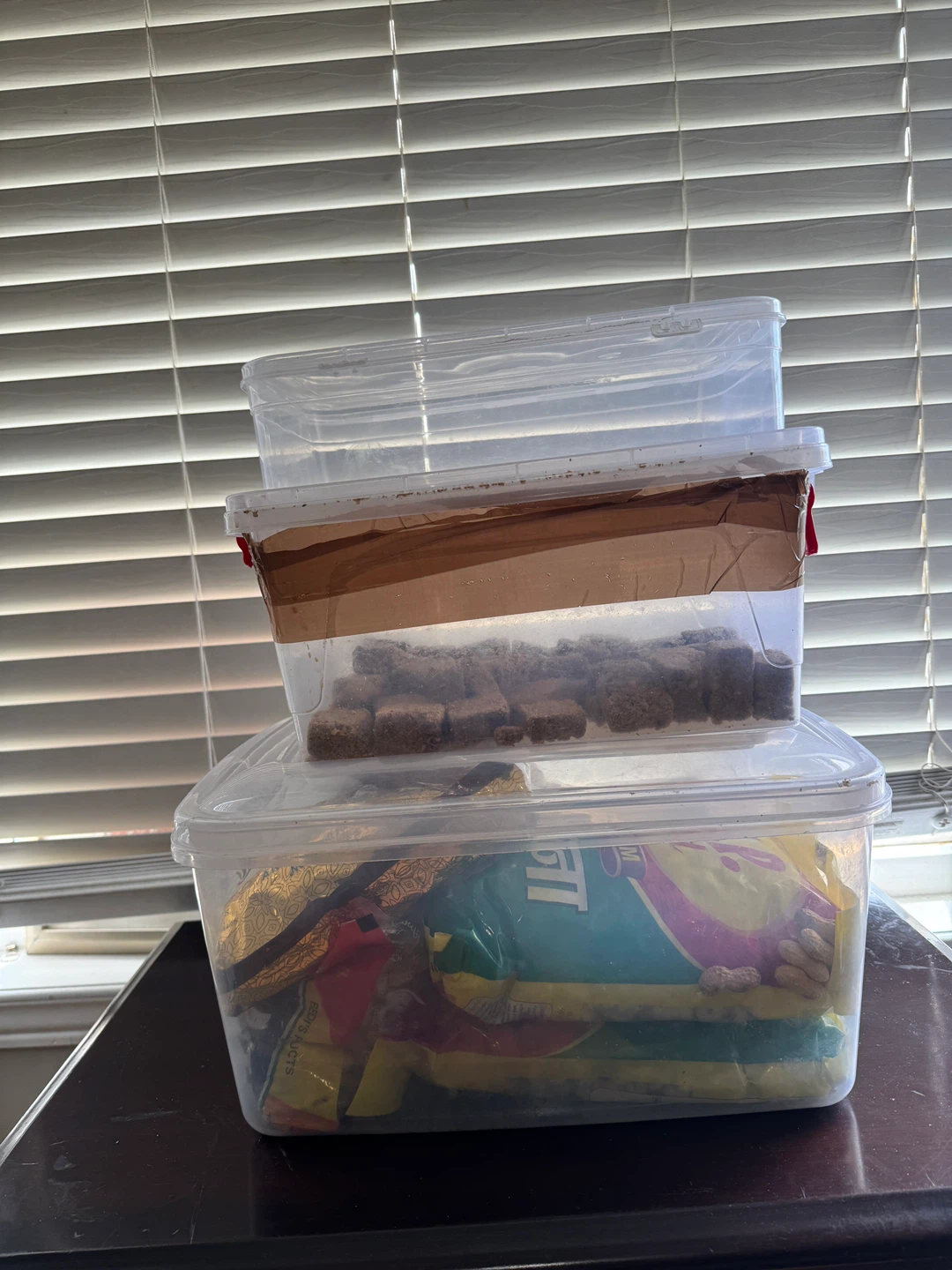 Set of 3 Clear Plastic Storage Containers