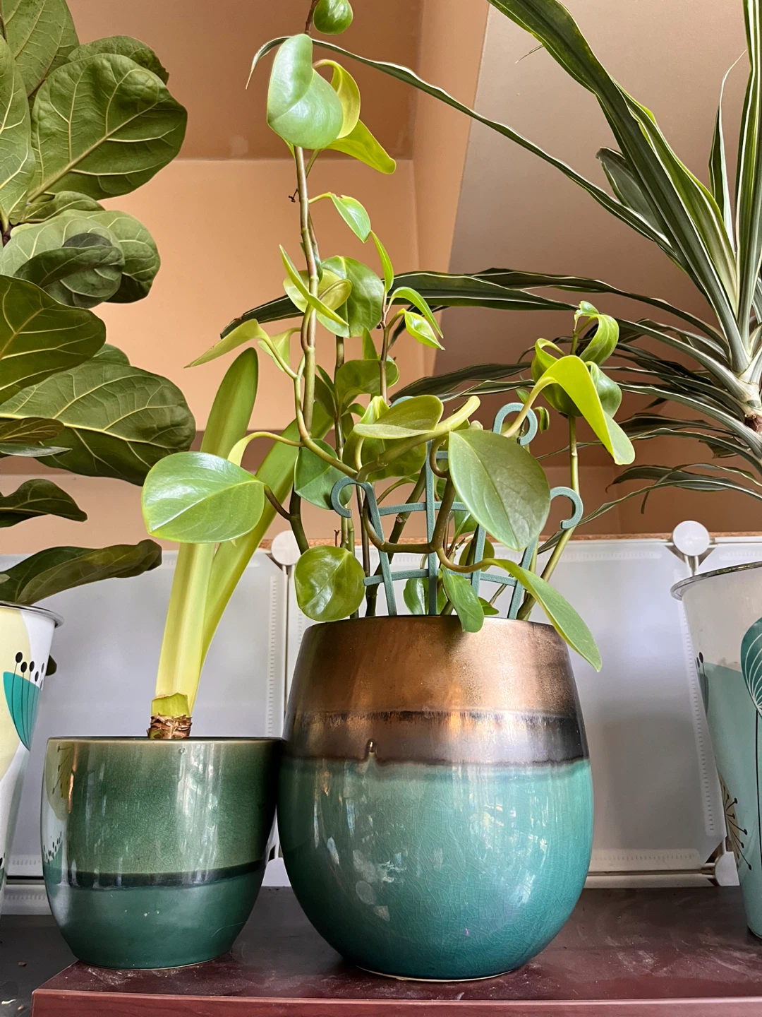 8x8”  Ceramic Plant Pot - photo 2