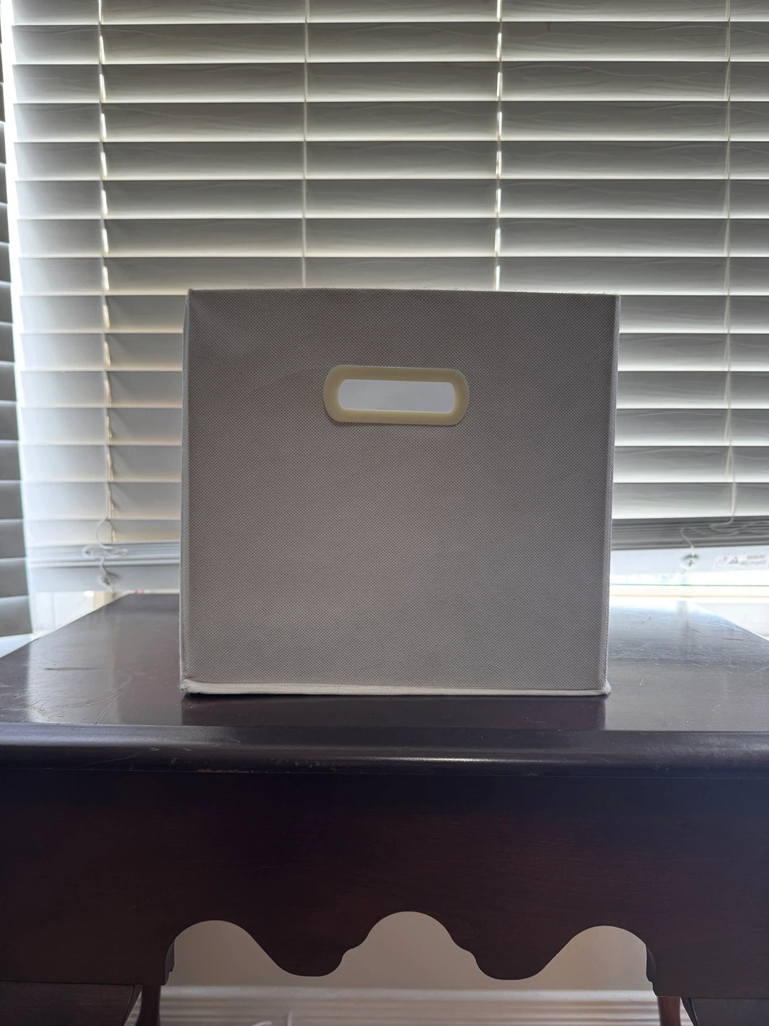 Storage Bin with Handles
