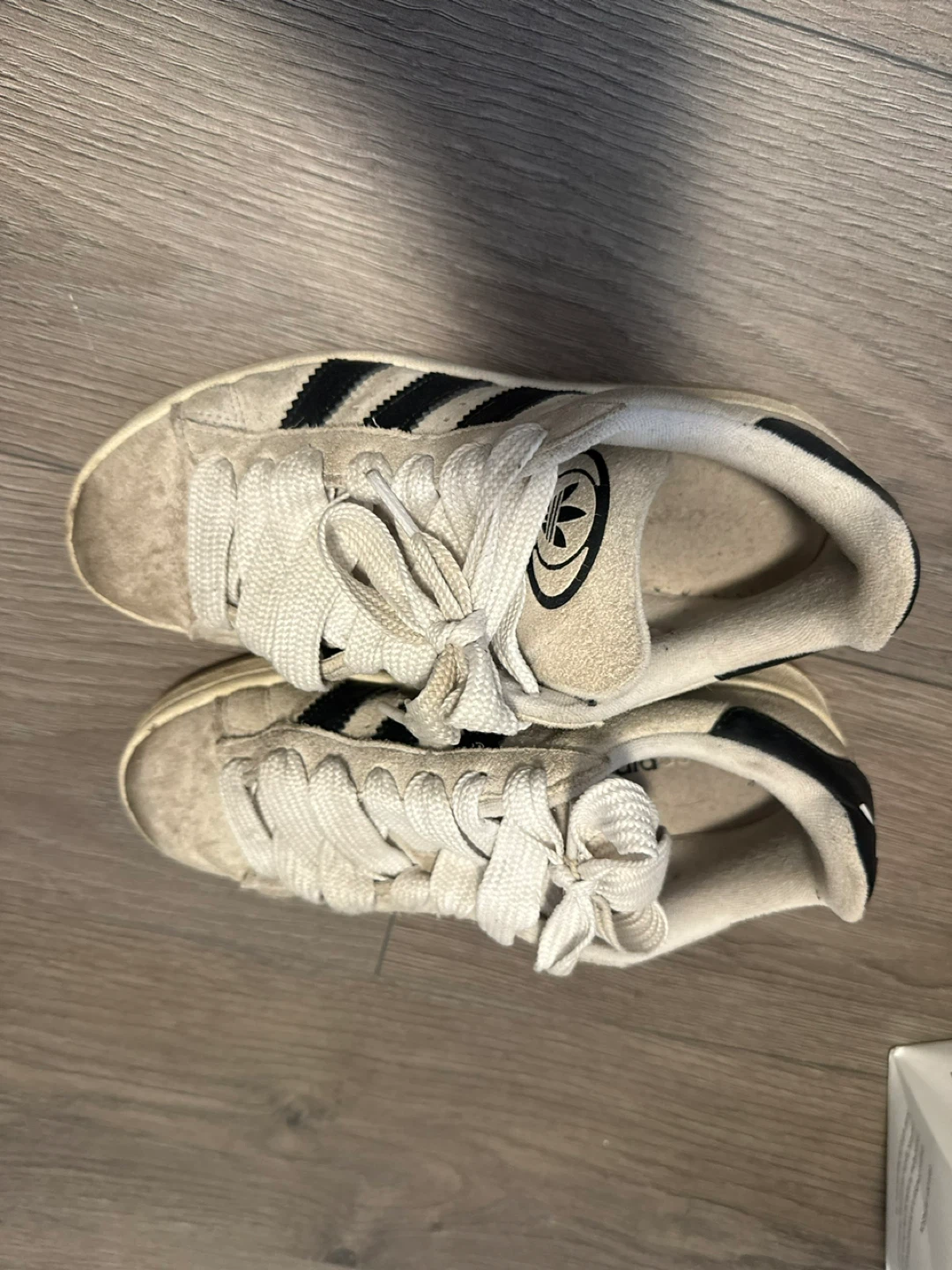 Adidas Campus Sneakers